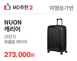 md추천2 캐리어