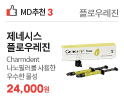 제네시스 플로우