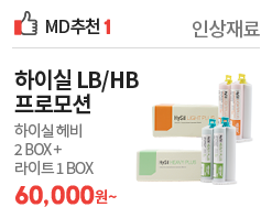 하이실 프로모션