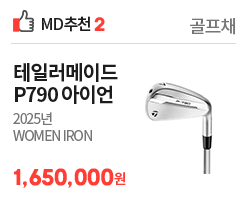 md2 테일러메이드 여성아이언